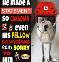 Canadian Nhl GIF