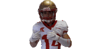 Nfl Celebration Sticker by Les Argonautes Aix
