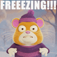 Winter Freezing GIF by Grind