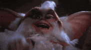 Gremlins 2 Laughing GIF