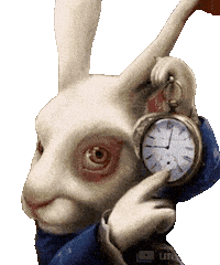 All Roads Lead To Rome Rabbit Sticker