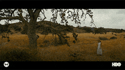 Season 3 Nostalgia GIF by Westworld HBO