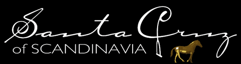 Santacruz GIF by santacruzofscandinavia