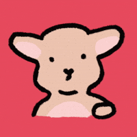 GreyRabbitu angry hand upset finger GIF