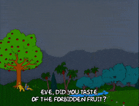 homer simpson GIF