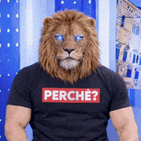 Perche GIF by Media Many