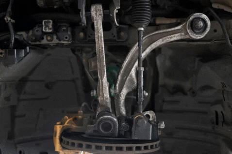 Zblognar giphygifmaker GIF