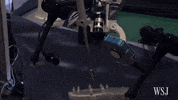 GIF by KQEDScience