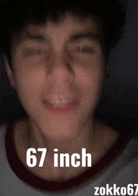 Zokko67 GIF