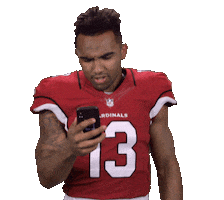 Arizona Cardinals Stickers Sticker by NFL