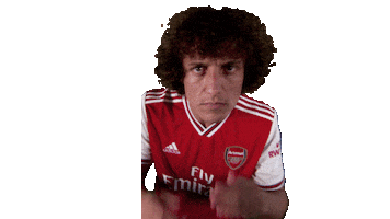 arsenal football soccer celebration celebrate Sticker