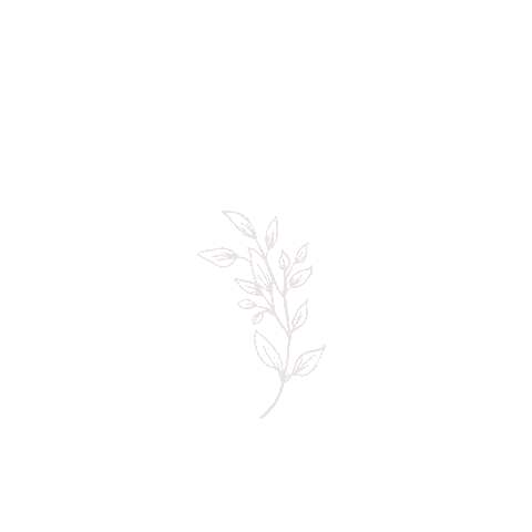 quimera_rosa plants minimal plantas ramas Sticker
