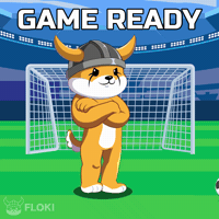 Lets Play Football GIF by FLOKI