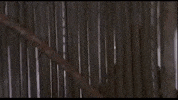Arnold Schwarzenegger Entrance GIF by 20th Century Fox Home Entertainment