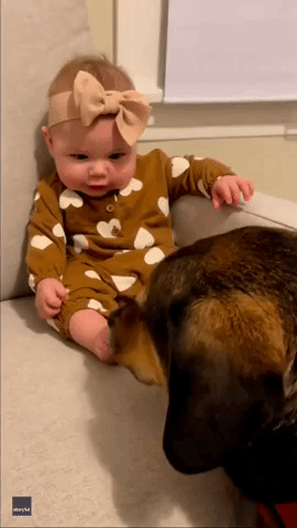 Baby Can't Control Her Laughter as Pooch Pal Licks Her Feet