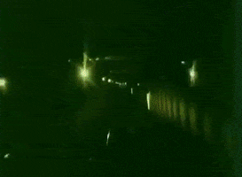 echo party GIF