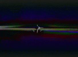 echo party GIF