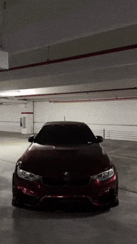 D_K_E bmw m4 f83 dawoodk GIF