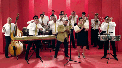 csocece giphyupload GIF