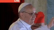 Becomes Pope Francis GIF