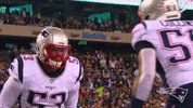 Bouncing Kyle Van Noy GIF by New England Patriots