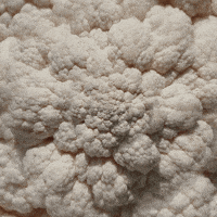 Viral Video Wtf GIF by Feliks Tomasz Konczakowski
