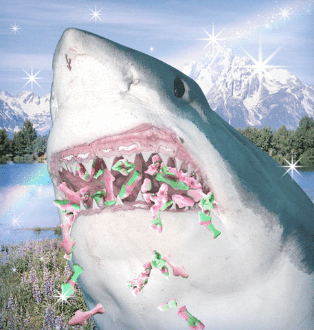 shark week candy GIF by Trolli
