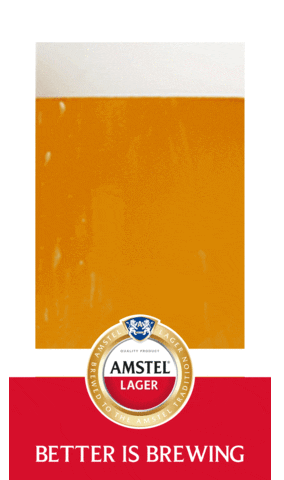 HeinekenSA amstel i amstel amstelsa GIF