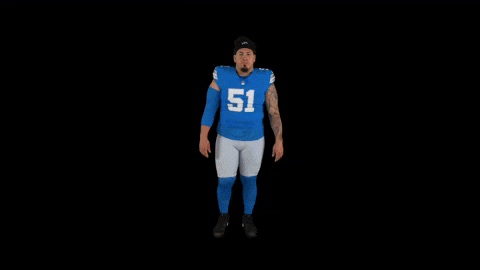 Michigan Arizona GIF by Detroit Lions