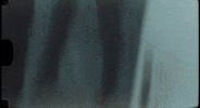 Southern Charm Beer GIF by Pure Noise Records