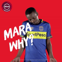 south african soccer GIF