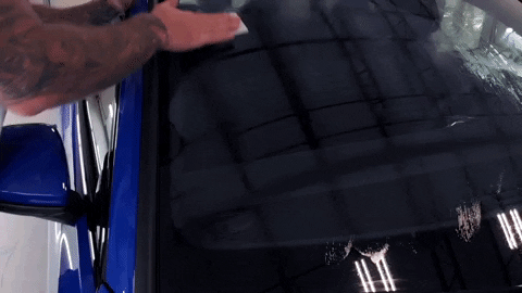 anthonytaylor-d7a1 giphyupload GIF