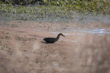 jonathaneisen giphyupload GIF