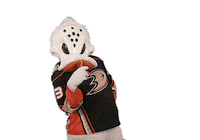 Ice Hockey Sticker by NHL