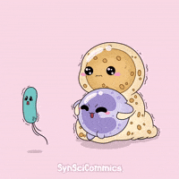 Cells Immunology GIF