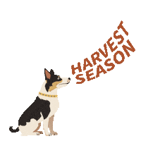 Farmdog Sticker by DEKALB Asgrow Deltapine
