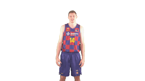 Fc Barcelona Basketball Sticker by ACB