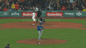 Blue Jays Baseball GIF by Toronto Blue Jays