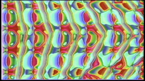 Video Art GIF by cskonopka