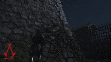 Ninja Warrior Parkour GIF by Assassin's Creed