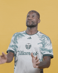 Mls Portland GIF by Timbers