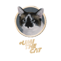 Licking Cat Food Sticker by Sheba Official