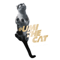 Licking Cat Food Sticker by Sheba Official
