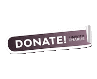 Vote Donate Sticker by CharlieClark2020