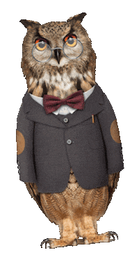Owl Sticker by Inceptia