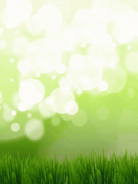 Cherry Blossom Easter GIF by TeaCosyFolk