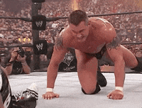 randy orton wrestling GIF by WWE