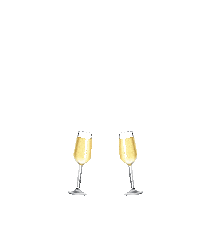cincinuae cheers raise the bar cincinservices cin cin uae Sticker