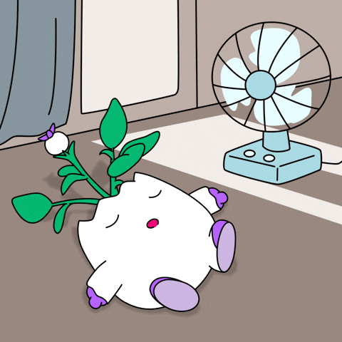 Tired Summer GIF by Magic Eden