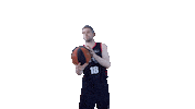 Liga Endesa Spinning Sticker by ACB